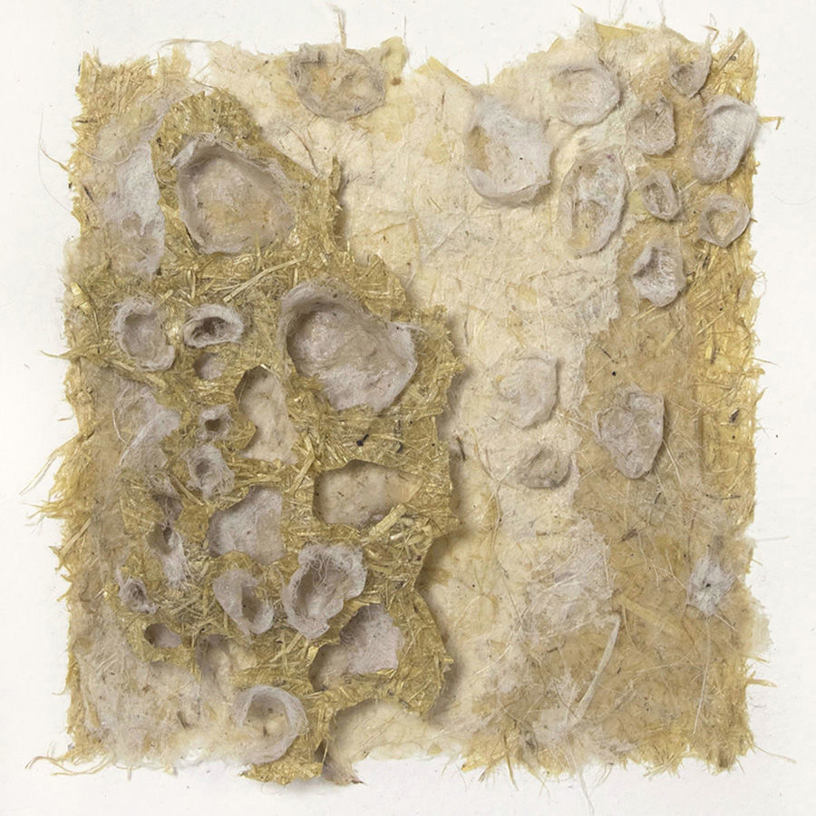 Fiber 11